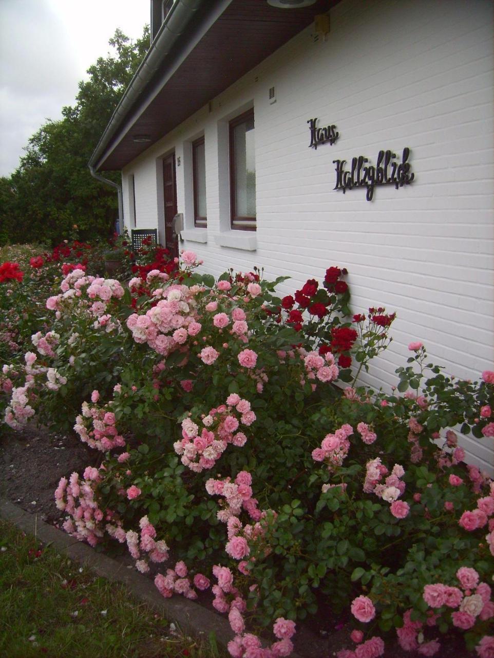 Haus-Halligblick-Ferienwohnung-Hamburger-Hallig Dagebüll Eksteriør billede