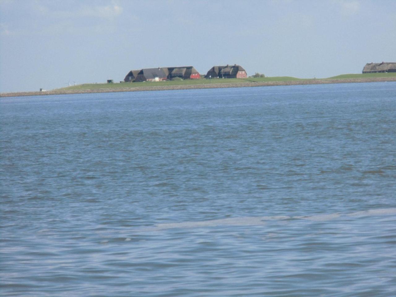 Haus-Halligblick-Ferienwohnung-Hamburger-Hallig Dagebüll Eksteriør billede