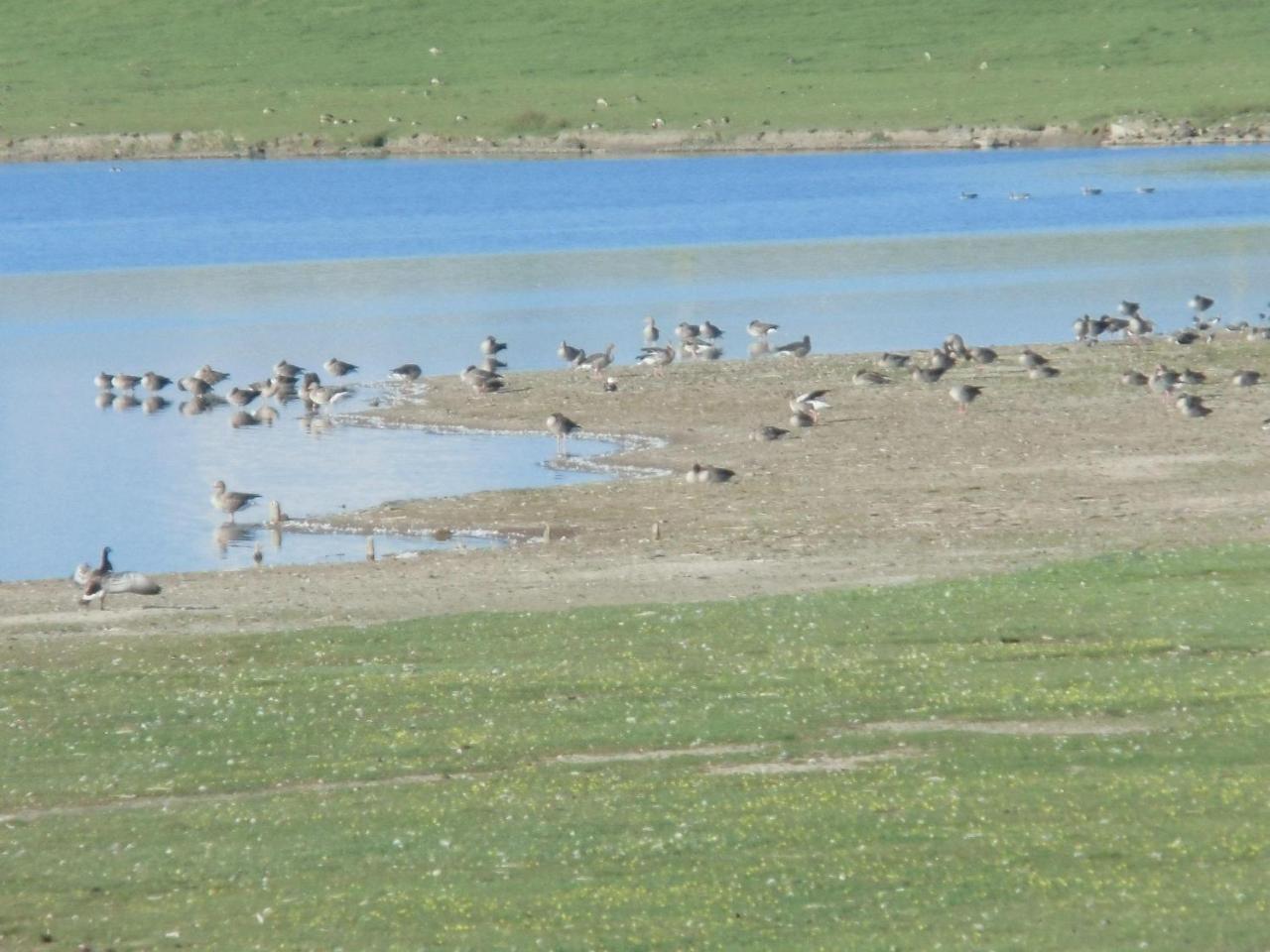 Haus-Halligblick-Ferienwohnung-Hamburger-Hallig Dagebüll Eksteriør billede