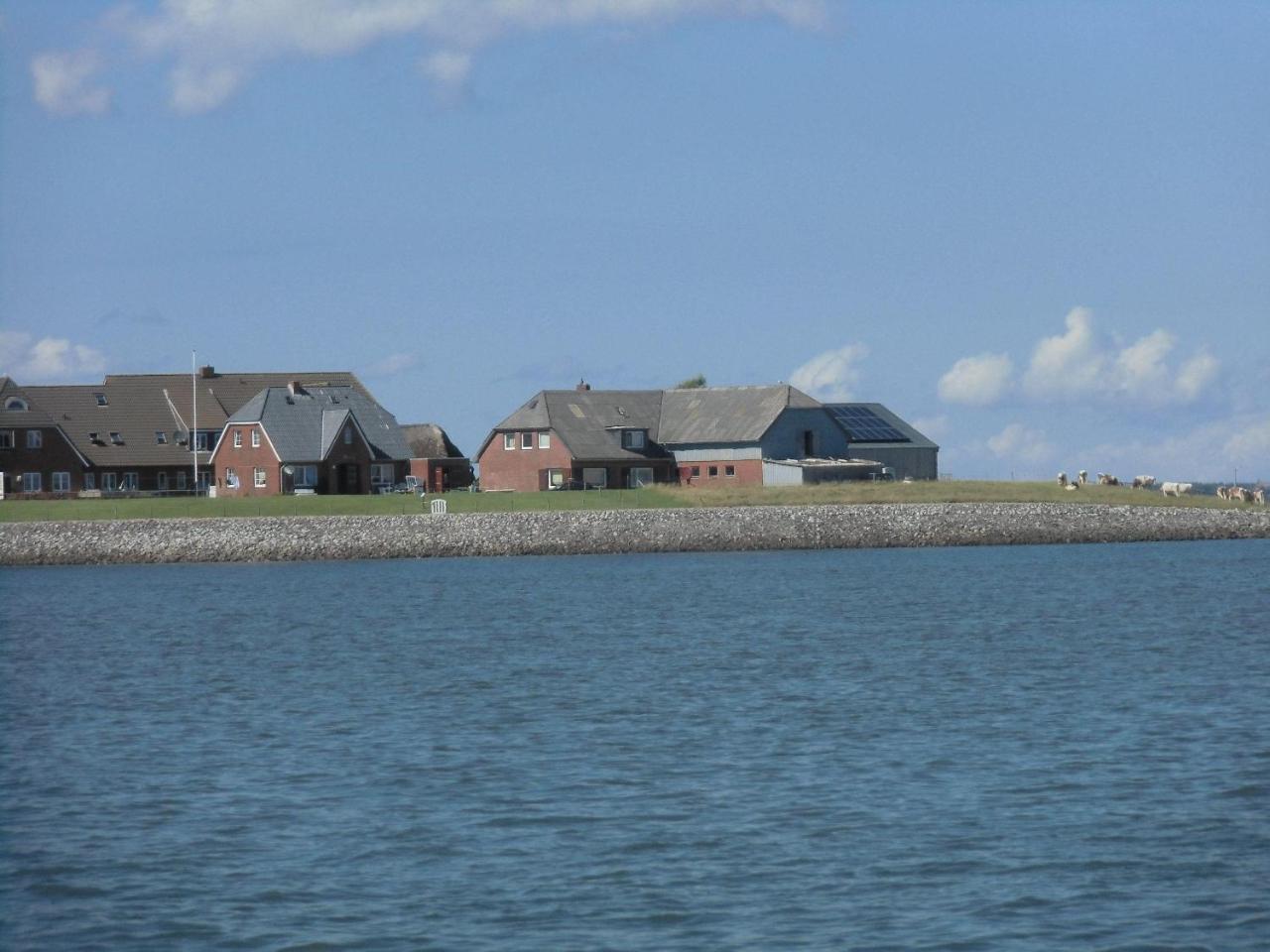 Haus-Halligblick-Ferienwohnung-Hamburger-Hallig Dagebüll Eksteriør billede