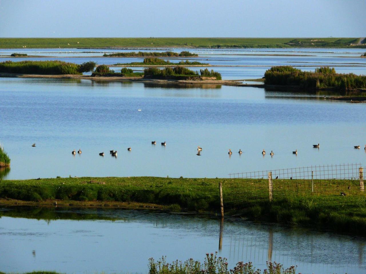 Haus-Halligblick-Ferienwohnung-Hamburger-Hallig Dagebüll Eksteriør billede